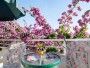 Appartement  Fabri 2