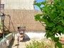 Appartement  Aurelija 2